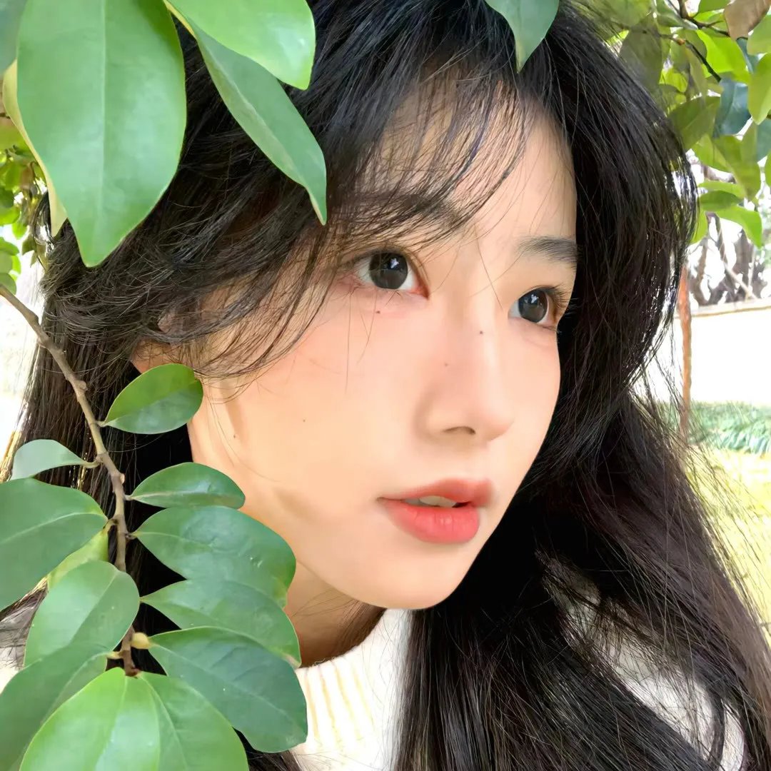 南北大状
